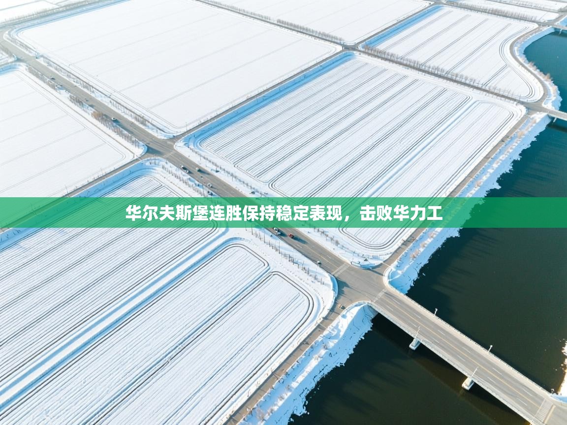 华尔夫斯堡连胜保持稳定表现，击败华力工