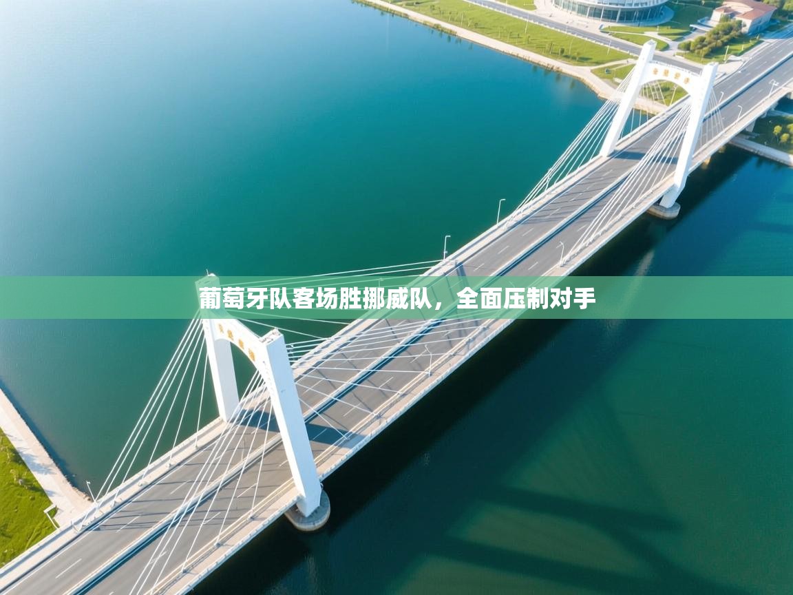 葡萄牙队客场胜挪威队，全面压制对手  第1张