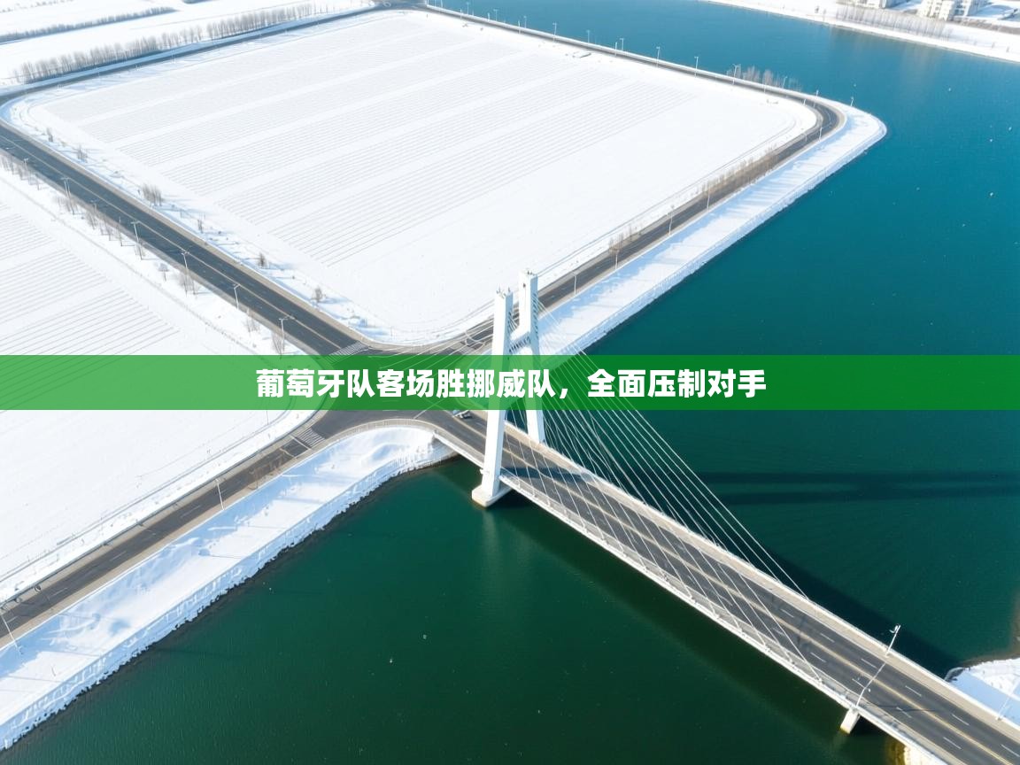 葡萄牙队客场胜挪威队，全面压制对手  第2张