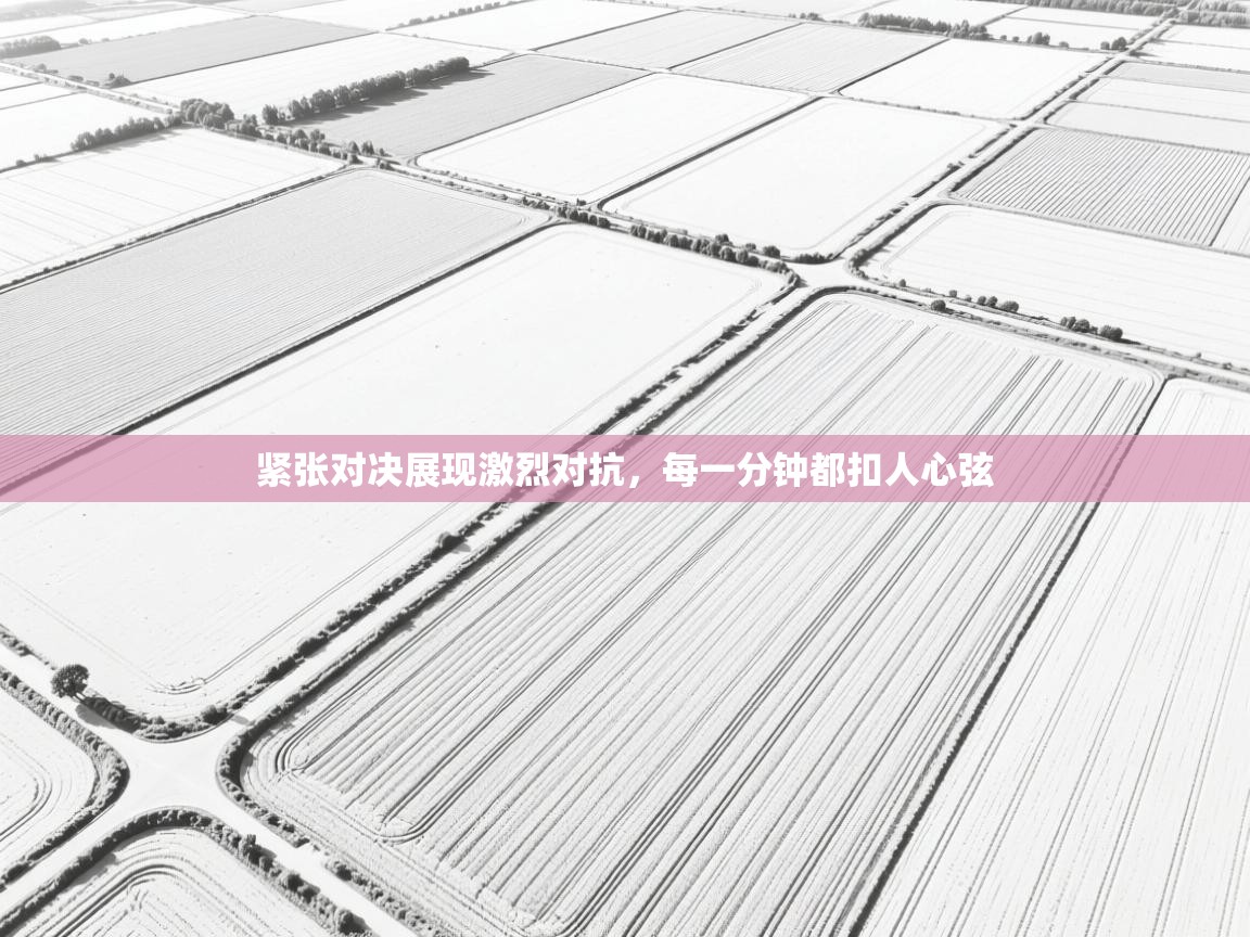 紧张对决展现激烈对抗,每一分钟都扣人心弦 第1张