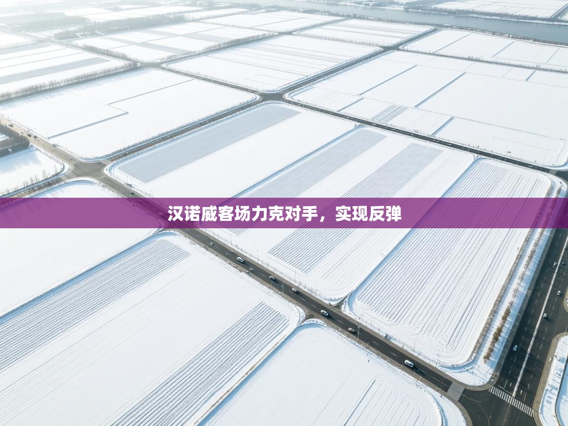 汉诺威客场力克对手，实现反弹