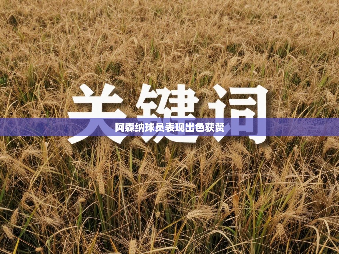 阿森纳球员表现出色获赞