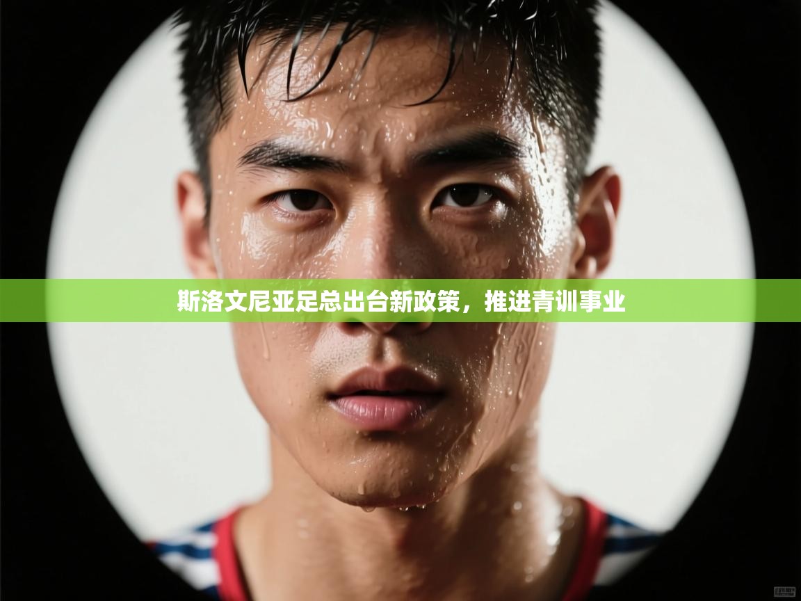 斯洛文尼亚足总出台新政策,推进青训事业 第2张